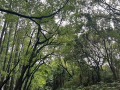 -采石矶景区