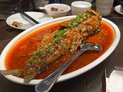家常豆瓣鱼-芙蓉凰花园酒楼