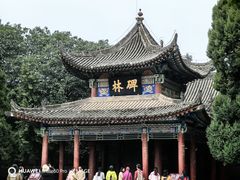 -西安碑林博物馆