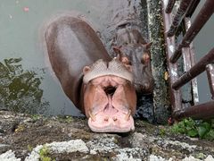 -海南热带野生动植物园
