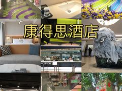 -佛山岭南天地康得思酒店