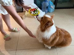 -老二正宗汕头牛肉丸店