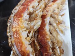 濑尿虾-蚝专家(北滘店)