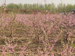 -汉长安城未央宫国家考古遗址公园