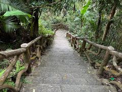 -海南热带雨林国家公园吊罗山景区