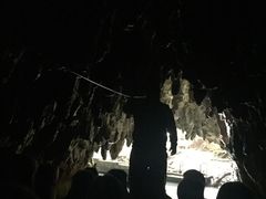 -怀托摩萤火虫洞