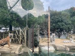-常州淹城野生动物世界