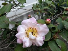 -南京民俗博物馆(甘熙故居)