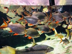 -太平洋海底世界