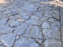 -苏州太湖国家湿地公园