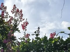 -望庐说·本地菜馆