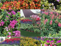 -文华公园(禅城区)