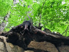 -洛阳白云山景区