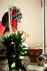 -胭脂猫京剧摄影