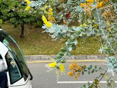 -深圳国际园林花卉博览园