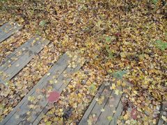 -叠溪松坪沟景区