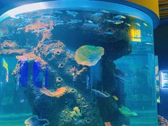 -石家庄海洋公园