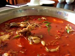 跳水美蛙-自贡好吃客(科华店)