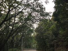 -大雁山风景区