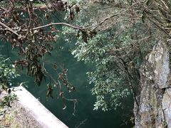 -宁波五龙潭景区