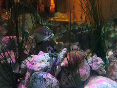 -沈阳海洋探索中心