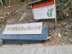 -天鹿湖森林公园