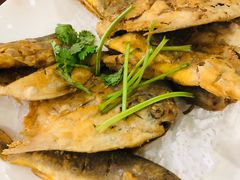 -绍兴名菜馆(可乐路店)