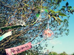 -南京工程学院(江宁校区)