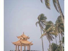 -东郊椰林