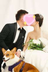 -CD视觉婚纱摄影