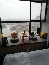 -VE专注问题肌&科学美肤中心