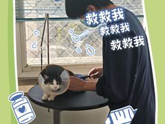 -萌兽医馆·绝育·24小时内科·宠物医院(德胜店)