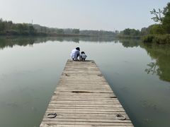 -马家湾湿地公园