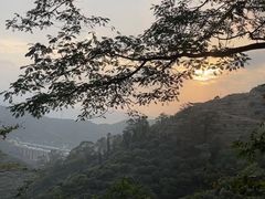 -东莞市大岭山森林公园