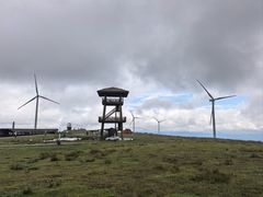 -龙里油画大草原旅游区