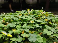 -宁波市保国寺古建筑博物馆