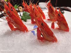 -上海滩餐厅(BFC外滩金融中心店)