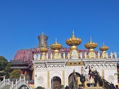 -上海东林寺(金山区)