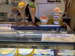 -哈根达斯(深圳海岸城店)