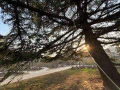 -国家植物园南园