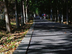 -大蜀山国家森林公园