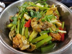 -云中小雅