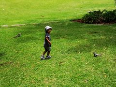 -Emerald Botanic Gardens