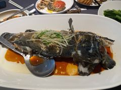 清蒸老虎斑-徐记海鲜(曲江南湖店)
