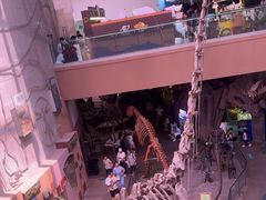 -陕西自然博物馆