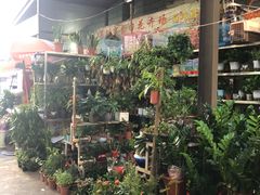 -金田水族花卉市场(银庄大厦店)