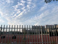 -河南财经政法大学(郑东校区)