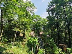 -南山植物园