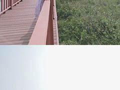 -芒洲湿地公园