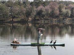 -星湖旅游景区七星岩